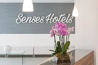 Delfin Playa (Adults Only) Hotel Palma Nova  Palma Nova (Mallorca)